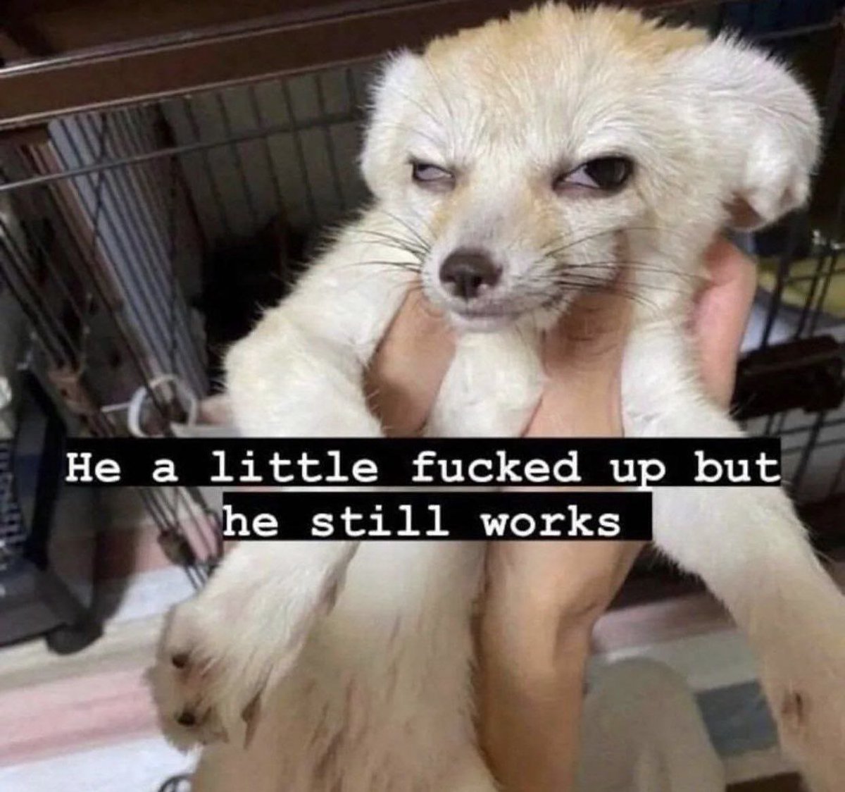 bonziulad's tweet image. me today