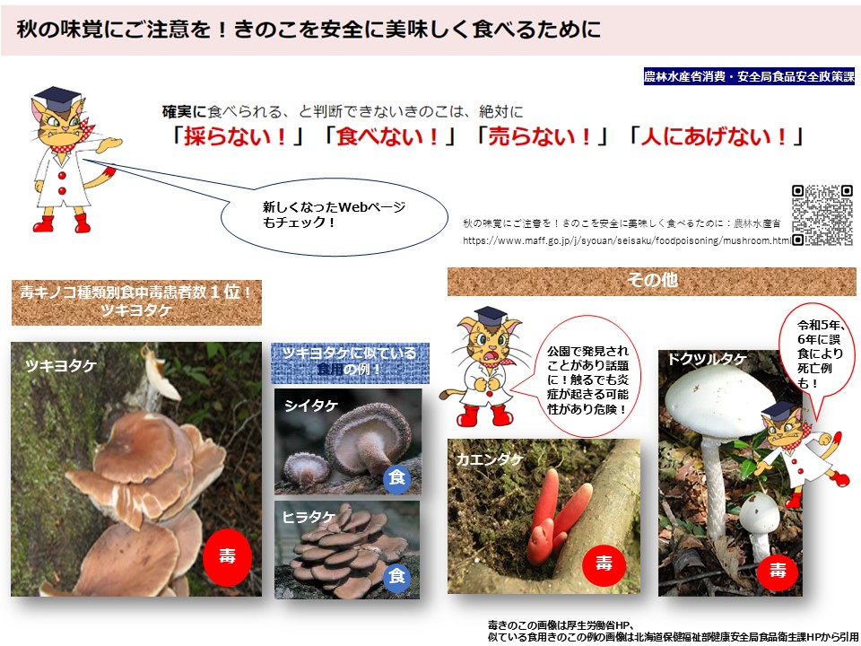 🍄🍄🍄🍄🍄🍄🍄🍄🍄🍄 毒きのこの食中毒を防ぎたい