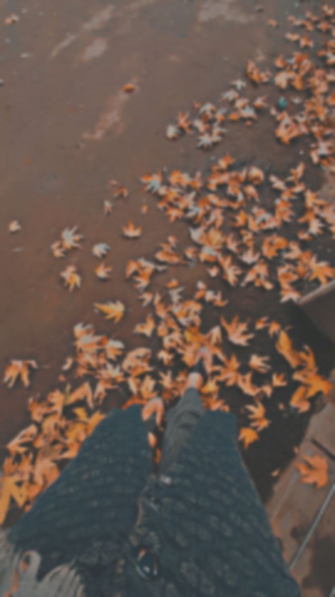 b_ziiii's tweet photo. Leaves are falling 🍁
autumn is calling https://t.co/XMwOGcJTnc