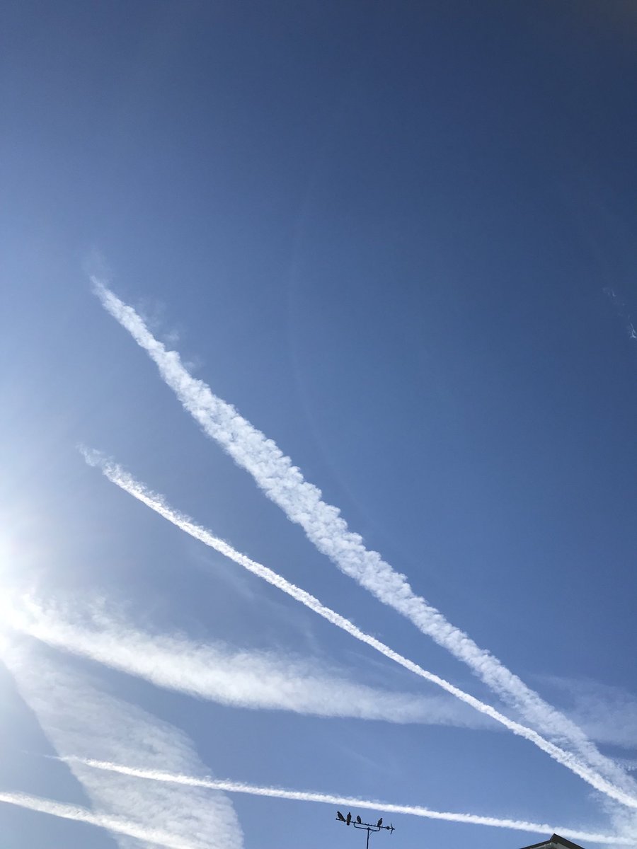 robster12065612's tweet image. The photo below is as blatant as “ died for any reason “ 

Lots of apparently well educated people are actually not very clever !

it’s people like me that have to point it out🤦‍♂️🫣