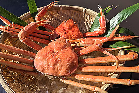 🦀富山県朝日町の本ズワイガニ
今年もこの季節が来ました❤️
朝日町で獲れる本ズワイガニは、越前ガニや松葉ガニと同じ種類の本ズワイガニです。漁場が近いので冷凍はせず、「獲れたて」をその日のうちに漁師が茹で、みなさまのお手元へ直送いたします。
mogumogu.direct/products/JF%E6…