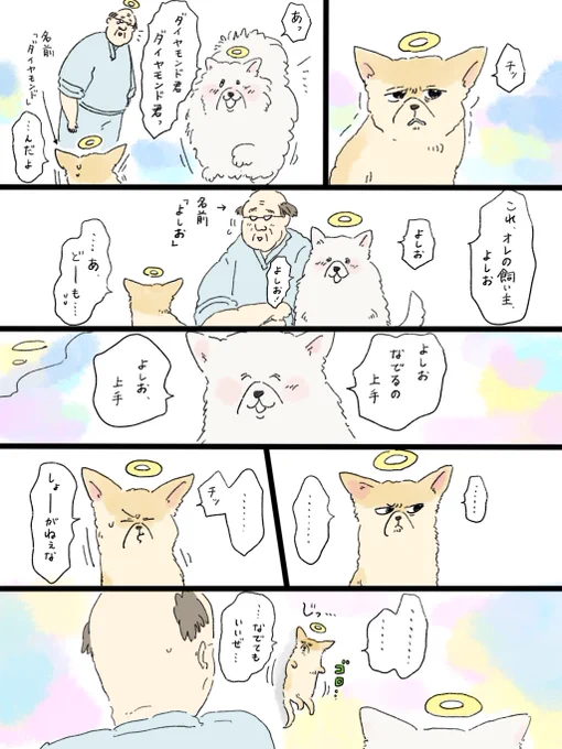 疲れた人に夜食を届ける出前店
天国シリーズ「なでる。」(3/2) 