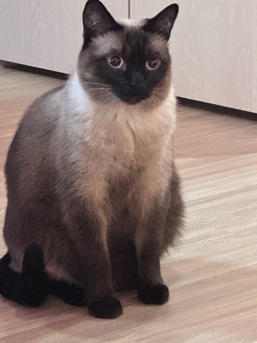 ʸᵒᵘʳ ¹⁰ᵛᵉˡʸ ᶠᵃⁿ tweet media