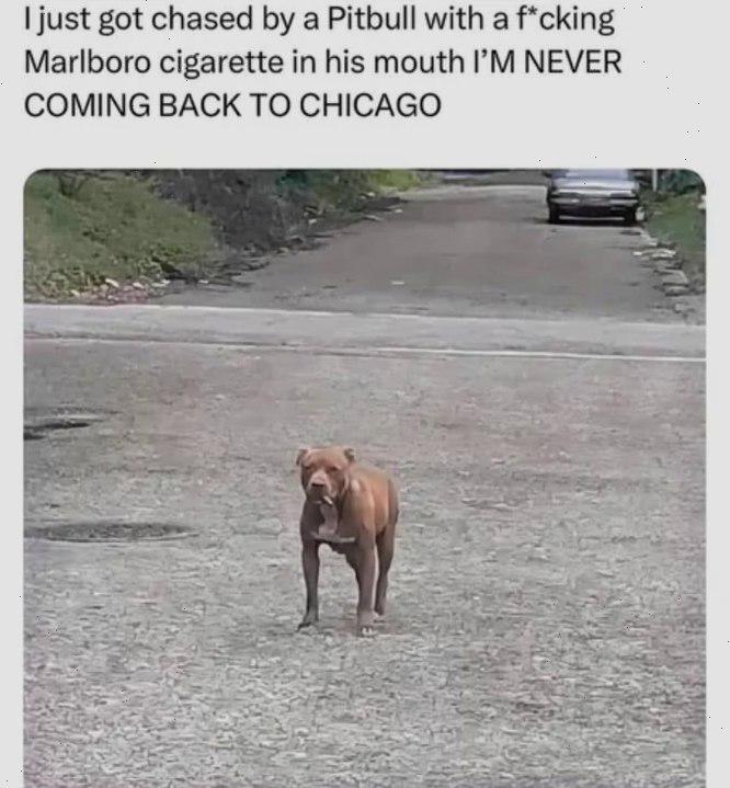 He just needed a light bro.