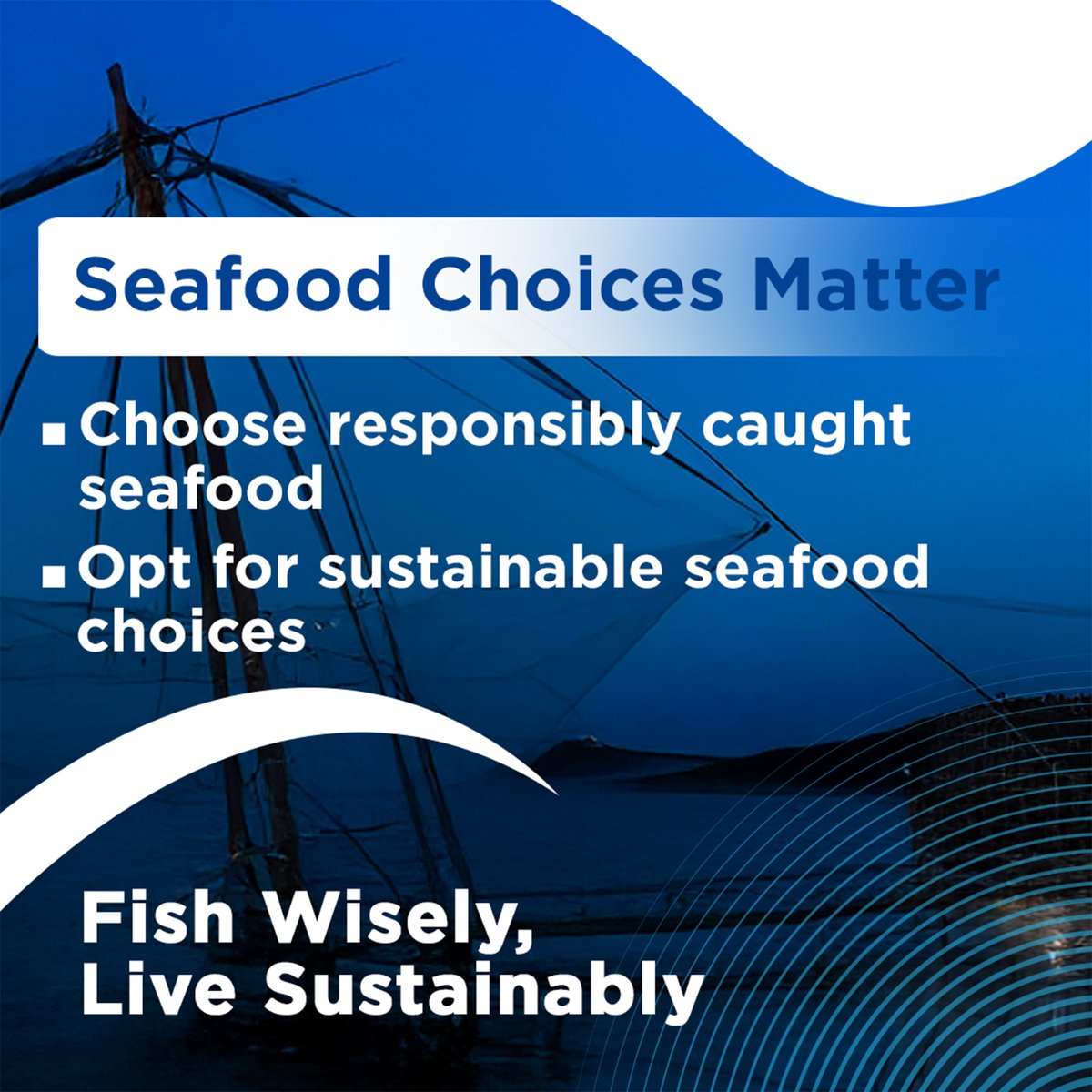 MPEDACOCHIN's tweet photo. Cast your net for sustainability. Opt for seafood that's harvested sustainably to ensure healthy oceans for generations to come.

#FishWisely #SustainableSeafood #FishResponsibly #aquaculture #seafood #indianseafood #export
@DoC_GoI
@FisheriesGoI
@Min_FAHD
@MOFPI_GOI https://t.co/s95GUlEtc4