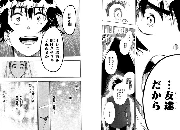 コミック『ニセコイ』文庫版全14巻、小説『ニセコイ ウラバナ