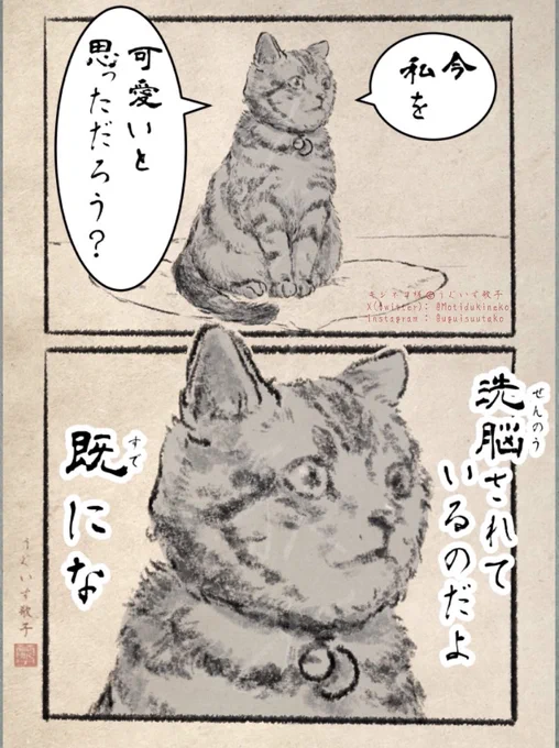 ネコに抱く、この感情。
異常だ、と、思ったことは、ないか、人間? 