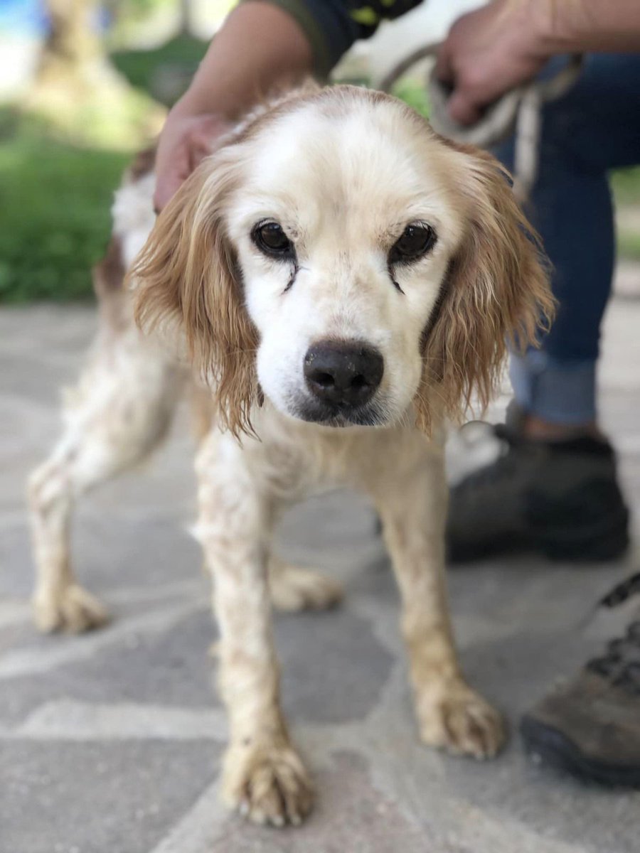 Gabriella Barghini tweet media