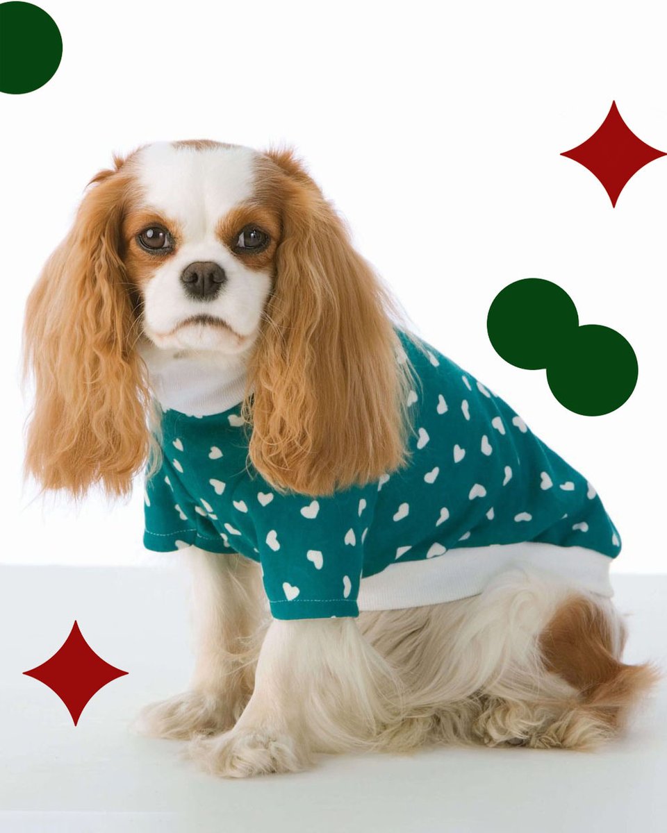 SimpMcCalls's tweet image. THIS WEEKEND ONLY! 50% off craft projects at sewdirect.com⁠

Shop the craft patterns category before Sunday 23:59 only at ⁠
sewdirect.com/product-catego…
⁠
#M5778 #SimplicityPatterns #McCallsPatterns #BurdaStylePatterns