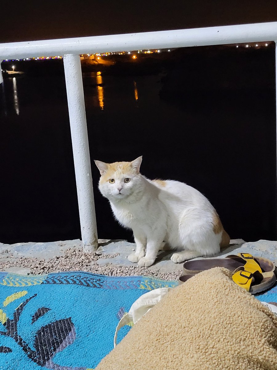 Valentin Boyer 𓀀 tweet media