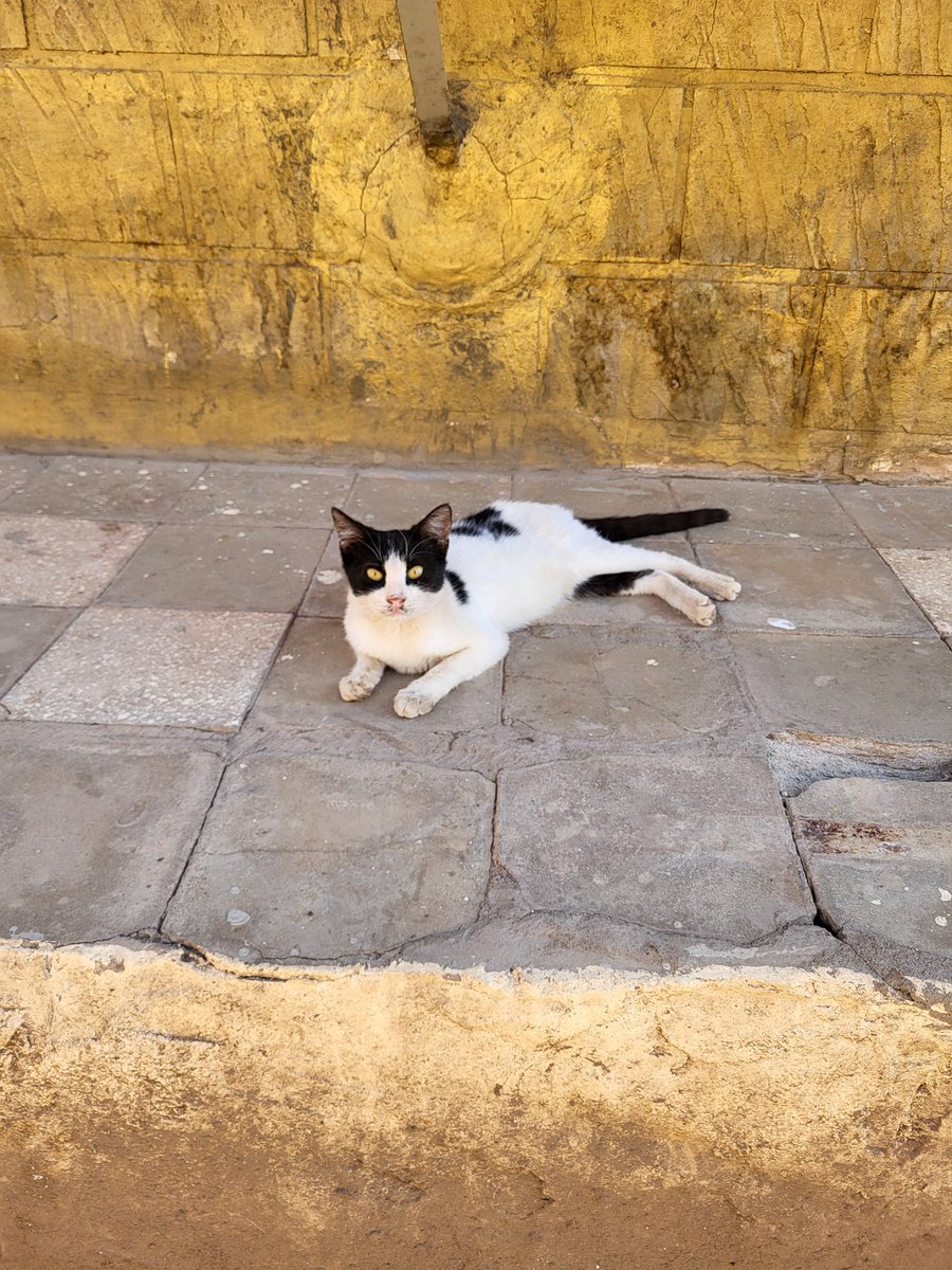 Valentin Boyer 𓀀 tweet media