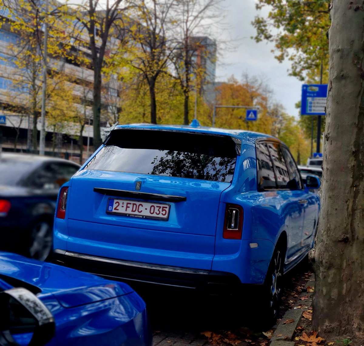 Mustang 🇳🇱 tweet media
