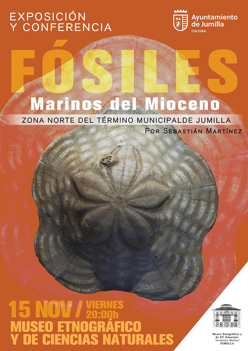 🦴 Este viernes 15 de noviembre,  descubre los fósiles del Mioceno en Jumilla 🕰️. Exposición y conferencia de Sebastián Martínez sobre hallazgos en Las Bodeguillas.  

📍 Museo Etnográfico. ¡No te lo pierdas! 🌍 #Jumilla #Fósiles