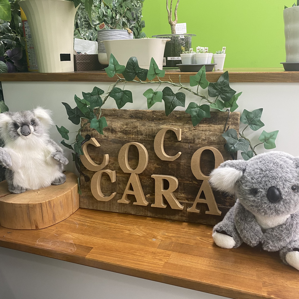 cococara2020's tweet photo. 1週間もあっというまで金曜日となりました。😄
cococara池袋では、
本日動画制作の発表会を行いました!!
皆さんこの日のために試作動画をたくさん作り
技術もどんどん磨かれております。
次回の作品も楽しみです😊
#就労移行 #動画編集 #コアラ #豊島区
#cococara #花金 #障害福祉 https://t.co/riTxIxmOy1