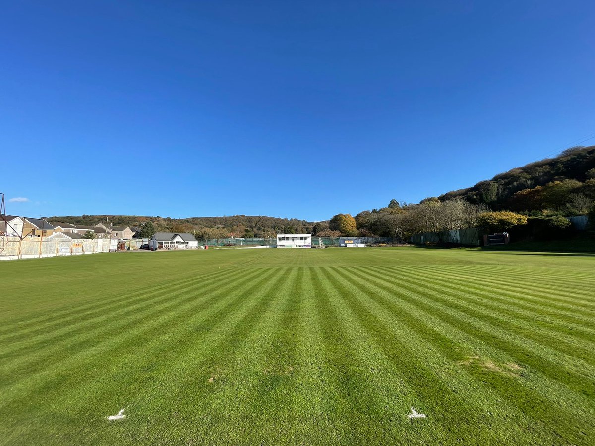 Jonathan Rees tweet media