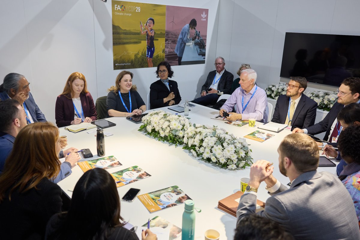 Ismahane Elouafi tweet media