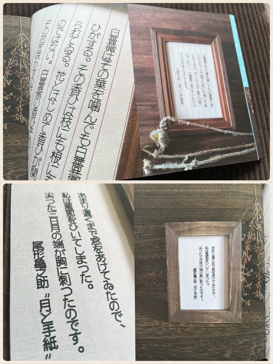 🍎マール社11月新刊🍎
『なぞり書きで楽しむ
 もこ字お稽古帳(おけいこちょう)』
万年筆やお気に入りのペンで書いてみよう✒︎✒︎✒︎✒︎✒︎
たくさんのリクエストを頂き、『もこ字練習帳』の続編が登場!✨書き込みしやすいヨコ判になりました。 