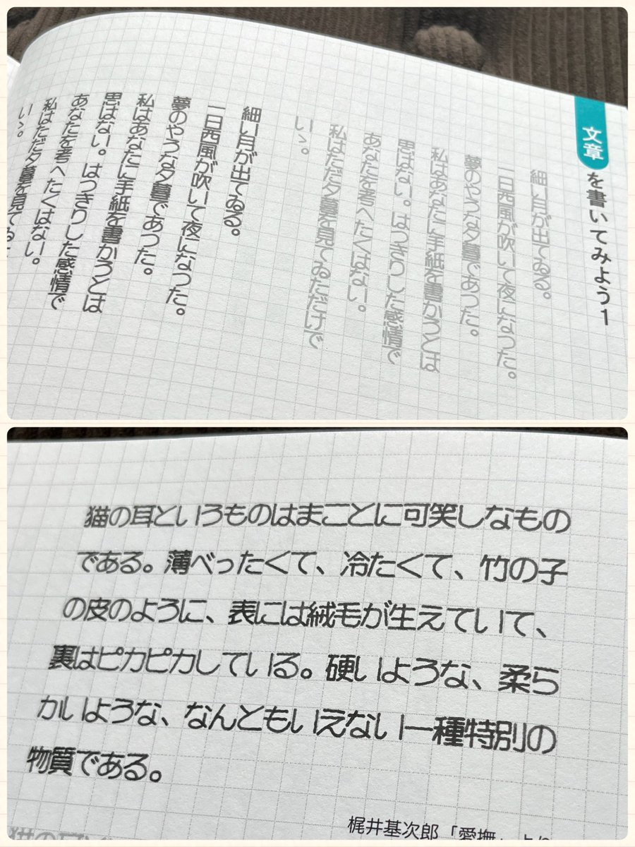 🍎マール社11月新刊🍎
『なぞり書きで楽しむ
 もこ字お稽古帳(おけいこちょう)』
万年筆やお気に入りのペンで書いてみよう✒︎✒︎✒︎✒︎✒︎
たくさんのリクエストを頂き、『もこ字練習帳』の続編が登場!✨書き込みしやすいヨコ判になりました。 