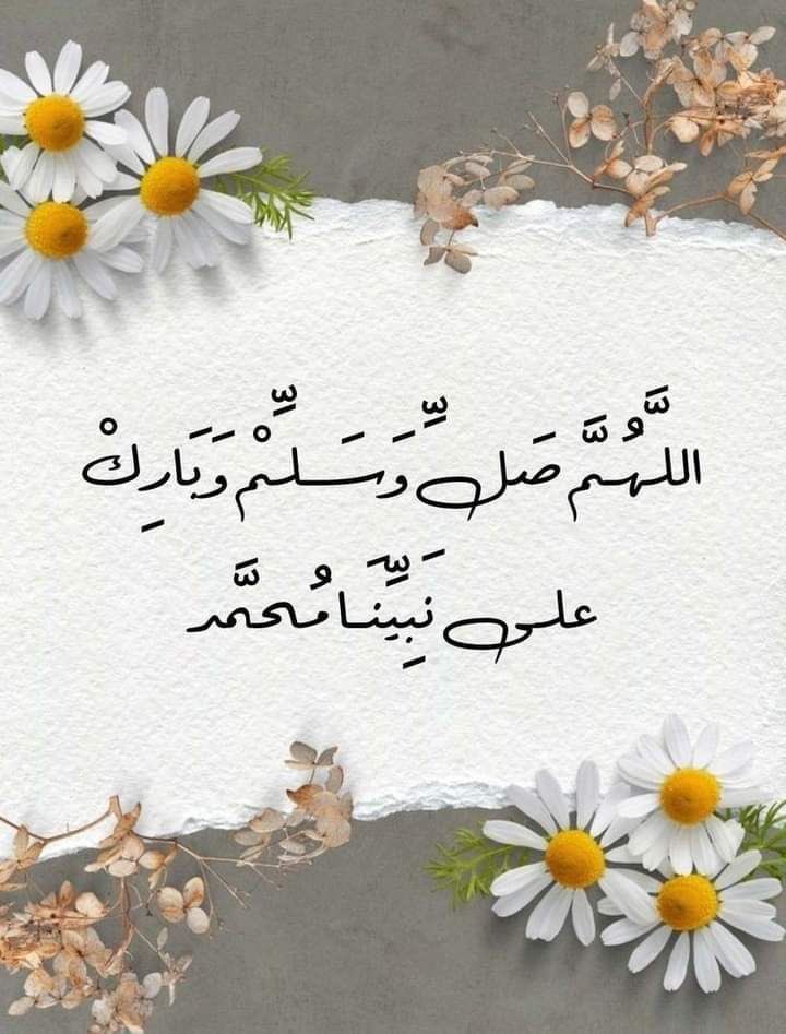 ibolo0's tweet image. 