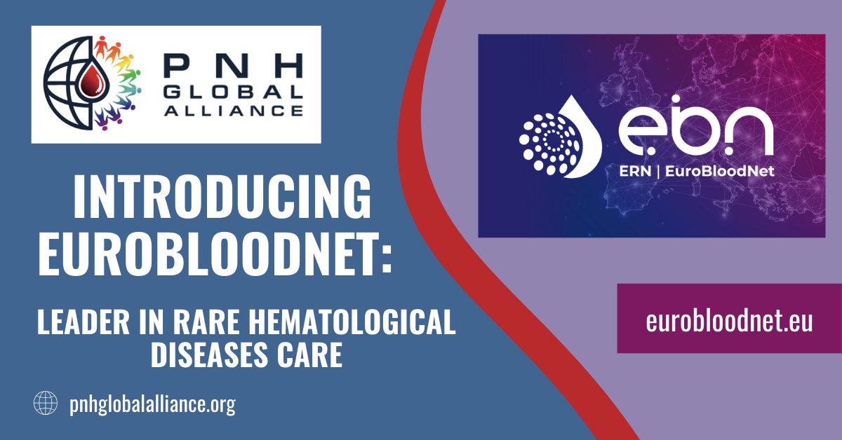 🌍EuroBloodNet, established in 2017, is the EU Reference Network for Rare Hematological Diseases. They ensure equitable access to specialized care, promote best practices, and enhance education for RHD patients. Check their work here!: eurobloodnet.eu 💙 #RareDiseases