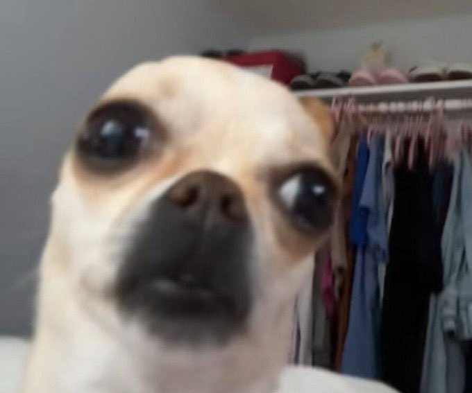 Mr Mischief 👨🏽‍💻👺 tweet media