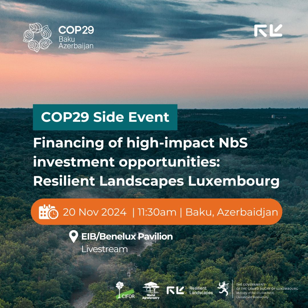 Resilient_Lands's tweet photo. 🌍 Join us at #COP29 to see how science fuels meaningful NbS investments! Learn from Resilient Landscapes Luxembourg’s journey and discover new investment opportunities for climate action. Nov 20, 11:30 AM Baku Time.
👉 Register: https://t.co/XExoda7Ywc
@CIFOR_ICRAF @COP29_AZ https://t.co/yspSZ1HBSm