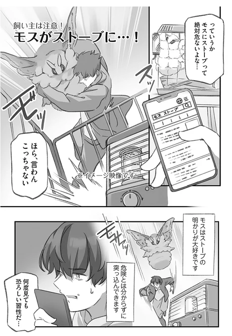 ストーブによってくるモスを防衛する話(1/4) 
