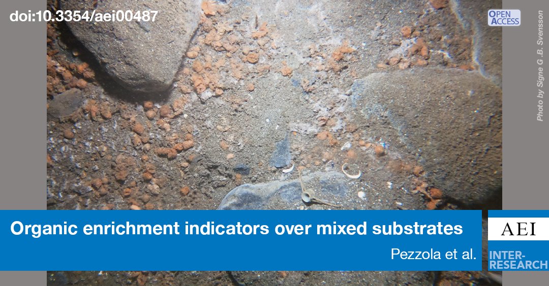 Check out our most recent article, offering new insight into improving the monitoring of #FishAquaculture's impact on the seafloor in Norway. bit.ly/aei_16_267