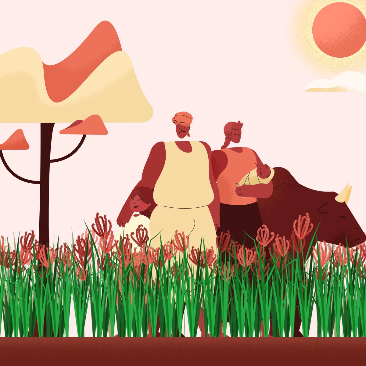 Finger millet is a powerhouse crop known for its resilience and adaptability. Packed with protein, fiber, calcium, iron &amp; zinc, it nourishes people and animals worldwide! 🍲🐄 

New, resilient varieties will help improve farmers' livelihoods ➡️ buff.ly/4fJ9w52 

#BOLDcwr