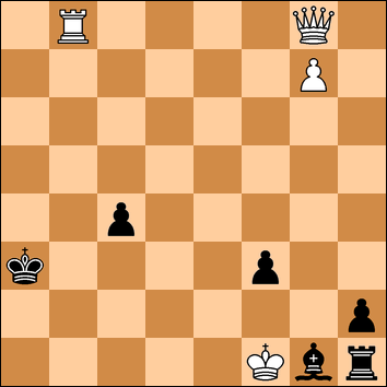 Jan Timman tweet media