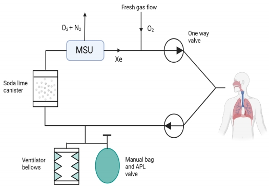 MGR_editor's tweet photo. New research in #MedGasResearch explores innovative gas separation and conservation methods during #xenon #anesthesia. https://t.co/IXoqx9wzaK
@StVincentsMelb @UniMelb https://t.co/IDLW16SFmp