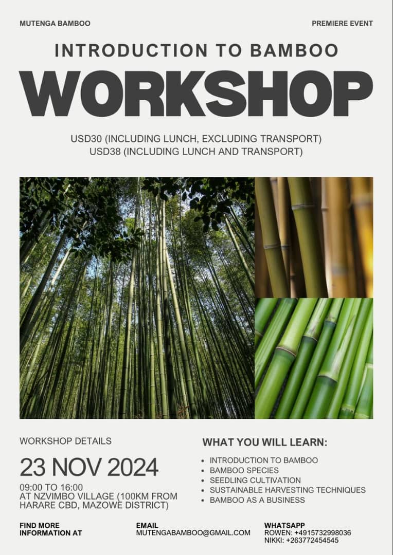 Rowen Meda "the Bamboopreneur"🇿🇼 tweet media