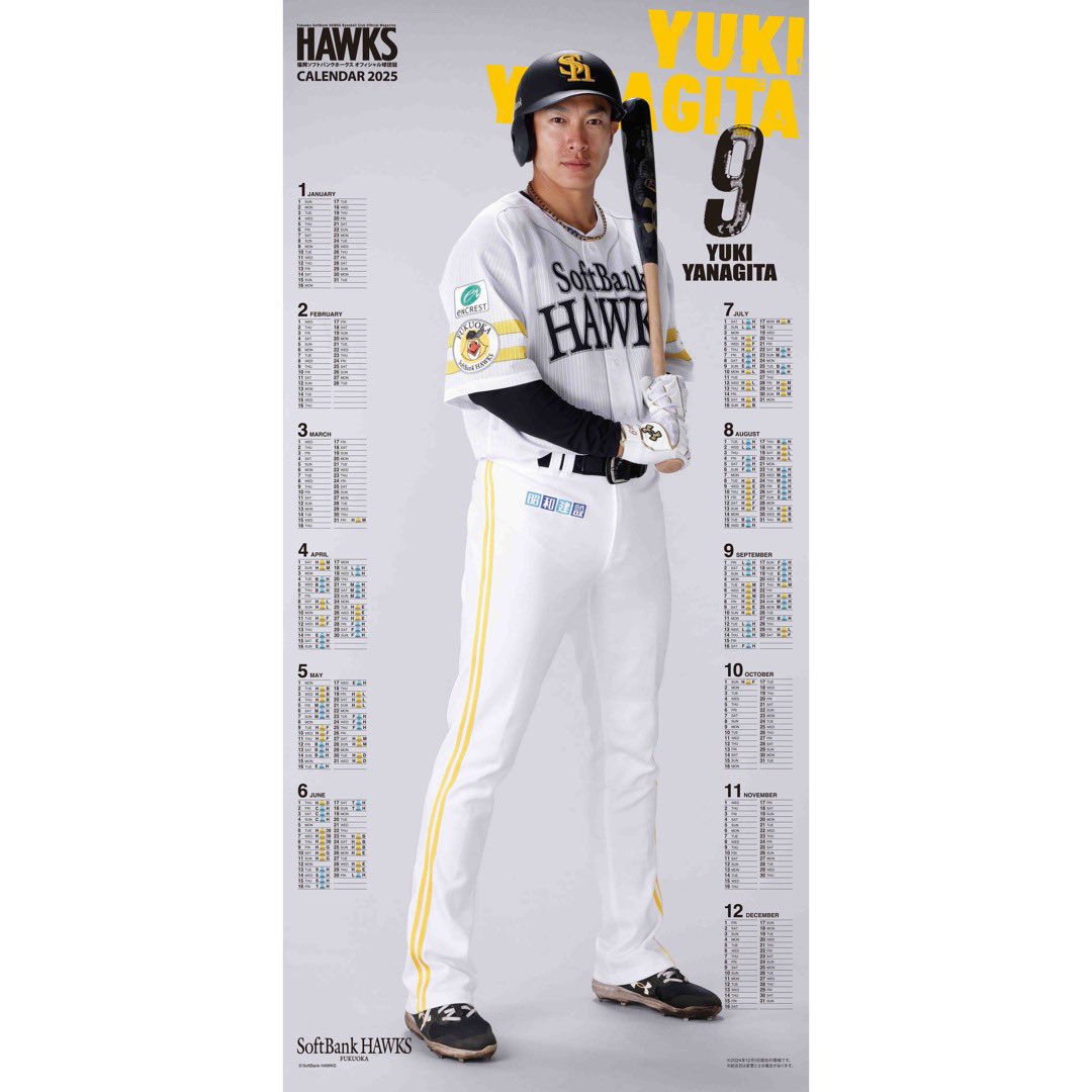 珍品？福岡ダイエーホークス ポスター 新商品のご案内】 毎年恒例、大人気商品！ 全選手からお好きな選手が