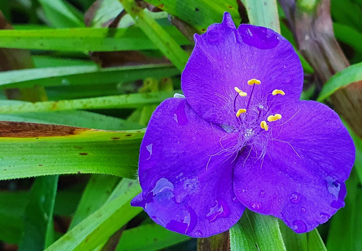 Jacquelyn Allen-Collinson 🏞️🌼🇪🇺🎸 tweet media