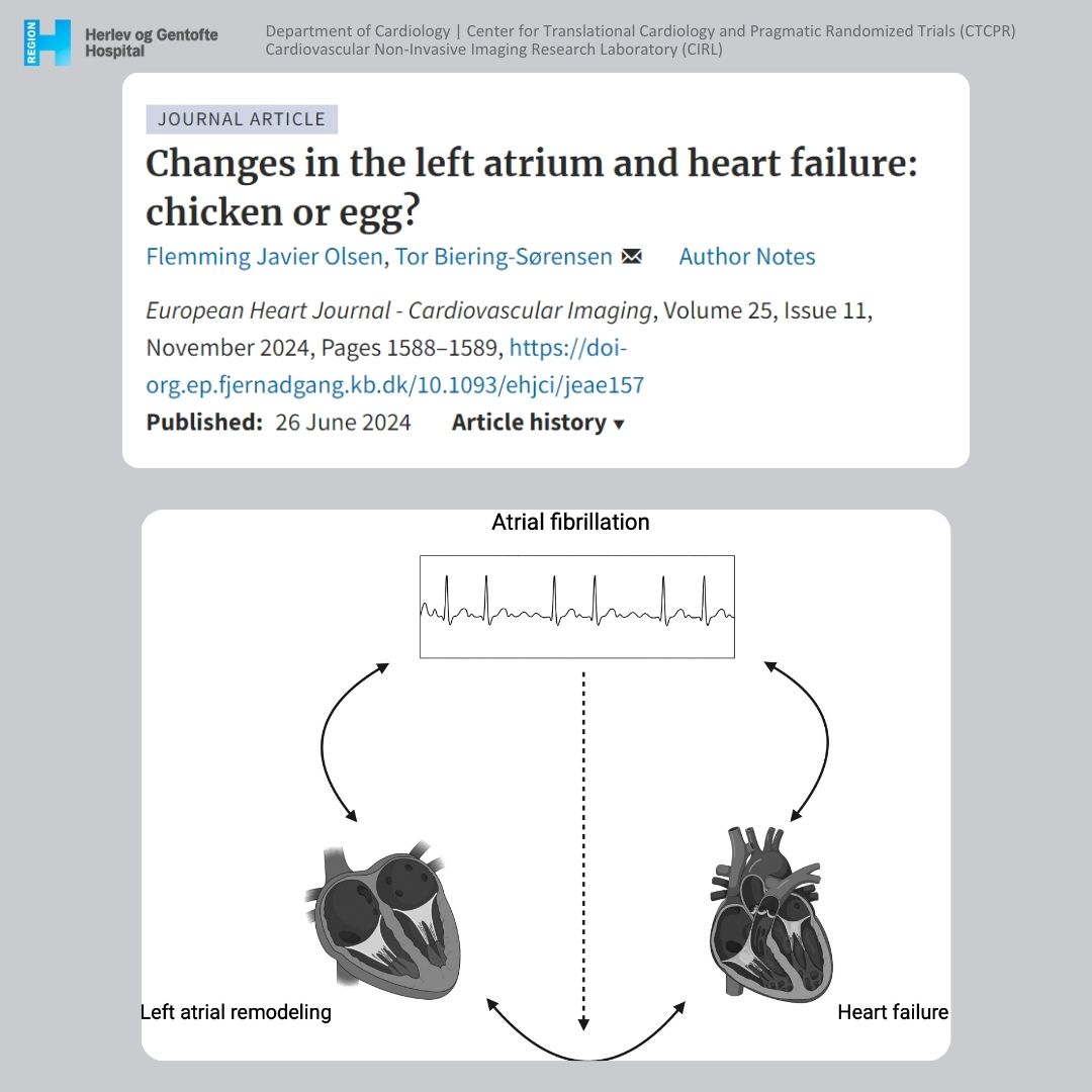 CTCPR Trials & CIRL (@ctcpr_) on Twitter photo Left Atrium & Heart Failure: Chicken or Egg? Research shows left atrial function changes may predict heart failure, but it's unclear if LA dysfunction causes HF or vice versa. AF and left ventricular function complicate the link, needing more research. doi.org/10.1093/ehjci/… Left Atrium & Heart Failure: Chicken or Egg? Research shows left atrial function changes may predict heart failure, but it's unclear if LA dysfunction causes HF or vice versa. AF and left ventricular function complicate the link, needing more research. doi.org/10.1093/ehjci/…