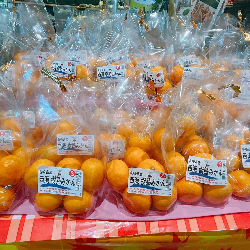 この冬イチオシの果物／ #西海樹熟みかん は 【糖度12度以上】という