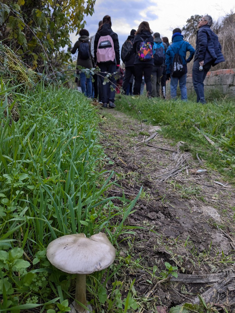 #SemanaVerdeUSAL 🍂 Ayer nos desplazamos hasta el municipio tormesino de Juzbado para poner en marcha un vivero forestal, sembramos bellotas, semillas de fresno y otras especies de #dehesa y de #ribera. Gracias al <a href="/juzbadoayto/">Juzbado, Salamanca</a> por su trabajo y acogernos de una forma tan especial.