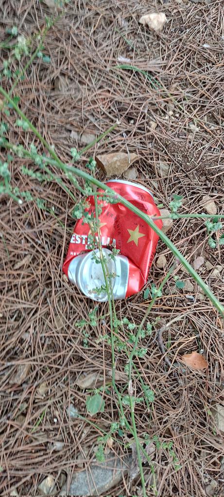 JoseLuisSTAP's tweet image. 📸Parc de la Serralada de Marina avui

A @ecoembes no l'interessa complir la Llei de #Residus i recuperar el 100% d'#envasos amb que inunda el mercat per què no té consciència social ni mediambiental i no importa que la #brossa acabi a la #Natura

#BeneficisImmorals
#Capitalisme