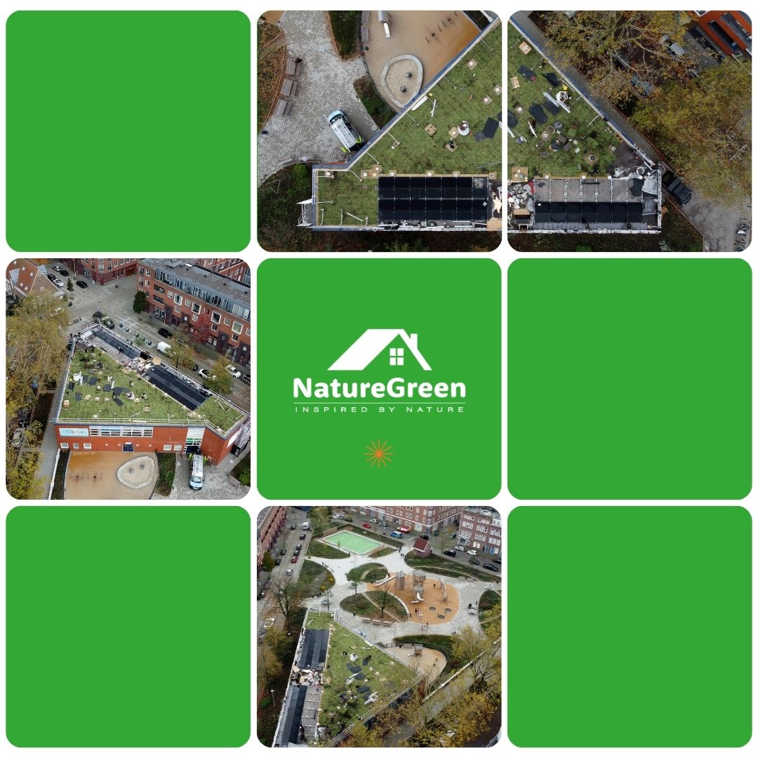 Carbon Neutral Initiative tweet media