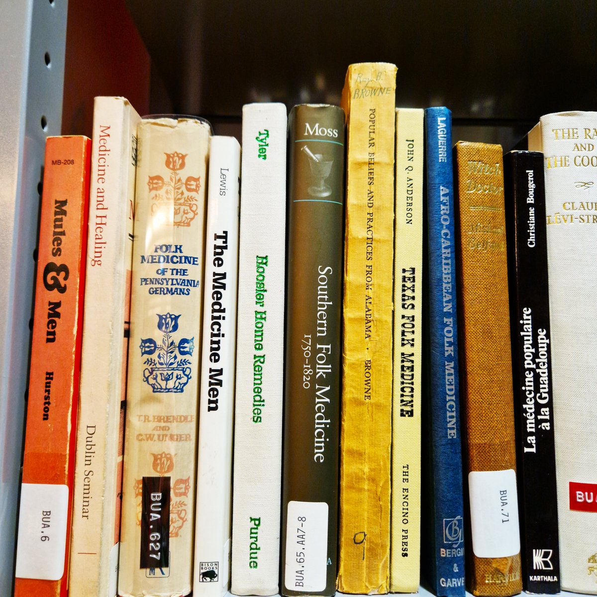 Wellcome Collection tweet media