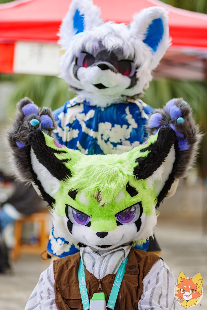 #FursuitFriday 
明目张胆地rua耳
<a href="/Helin_Kira/">幻凌</a>
