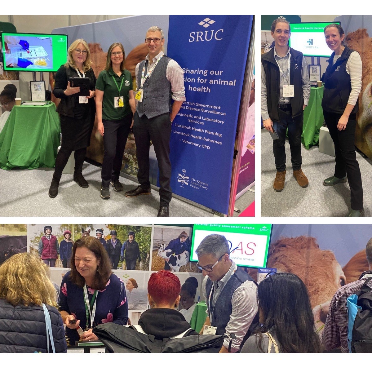 SRUCVets's tweet photo. Our team @SRUC are busy at the London Vet Show today at F71 showcasing @SRUCVetSchool, Veterinary Services & RAVIC. We are talking to vets, vet nurses & industry about our exciting vet & vet nursing courses, #EAQscheme #innovation #CPD #HerdPlan etc. ⭐HAMPER PRIZE DRAW!⭐ #LVS24 https://t.co/CGl96mXYhB
