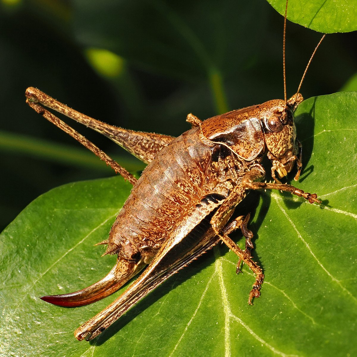 Terry&JudyWood tweet media