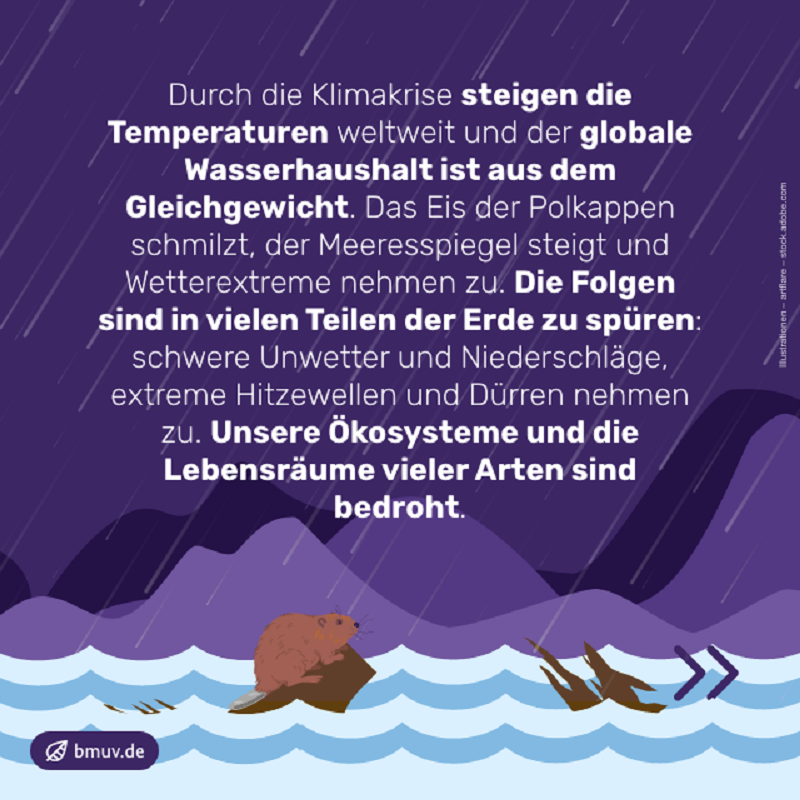 _BMUKN's tweet photo. „Wir können der #Klimakrise nur dann etwas entgegensetzen, wenn wir konsequent die Natur schützen, den globalen Wasserhaushalt stabilisieren und die Übernutzung unserer natürlichen Ressourcen eindämmen.“ Bundesumweltministerin @SteffiLemke #COP29 #Weltklimakonferenz