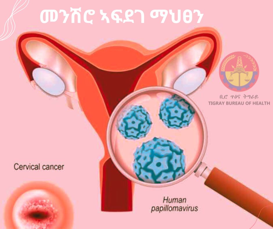 Tigray Regional Health Bureau tweet media