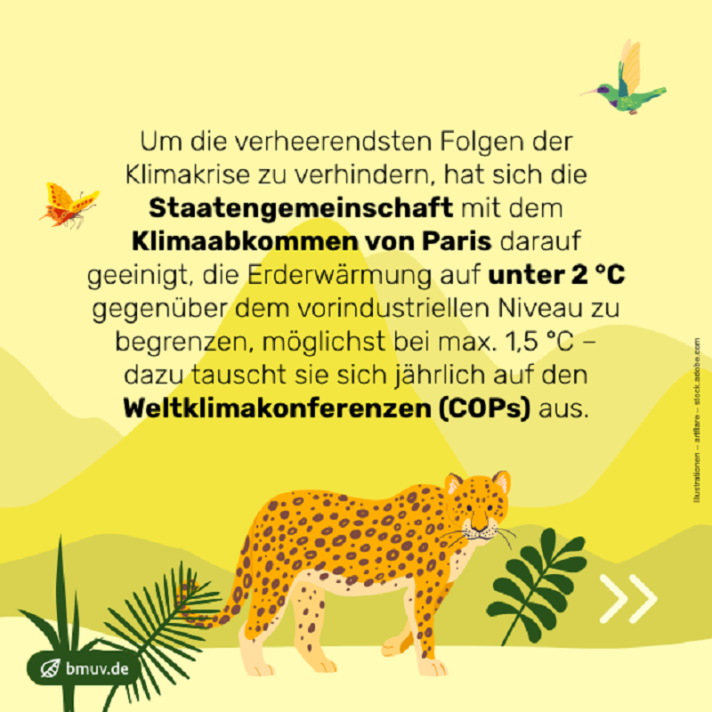 _BMUKN's tweet photo. „Wir können der #Klimakrise nur dann etwas entgegensetzen, wenn wir konsequent die Natur schützen, den globalen Wasserhaushalt stabilisieren und die Übernutzung unserer natürlichen Ressourcen eindämmen.“ Bundesumweltministerin @SteffiLemke #COP29 #Weltklimakonferenz
