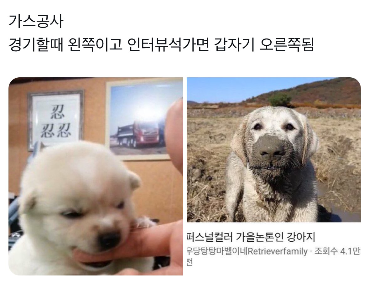 슬이 tweet media
