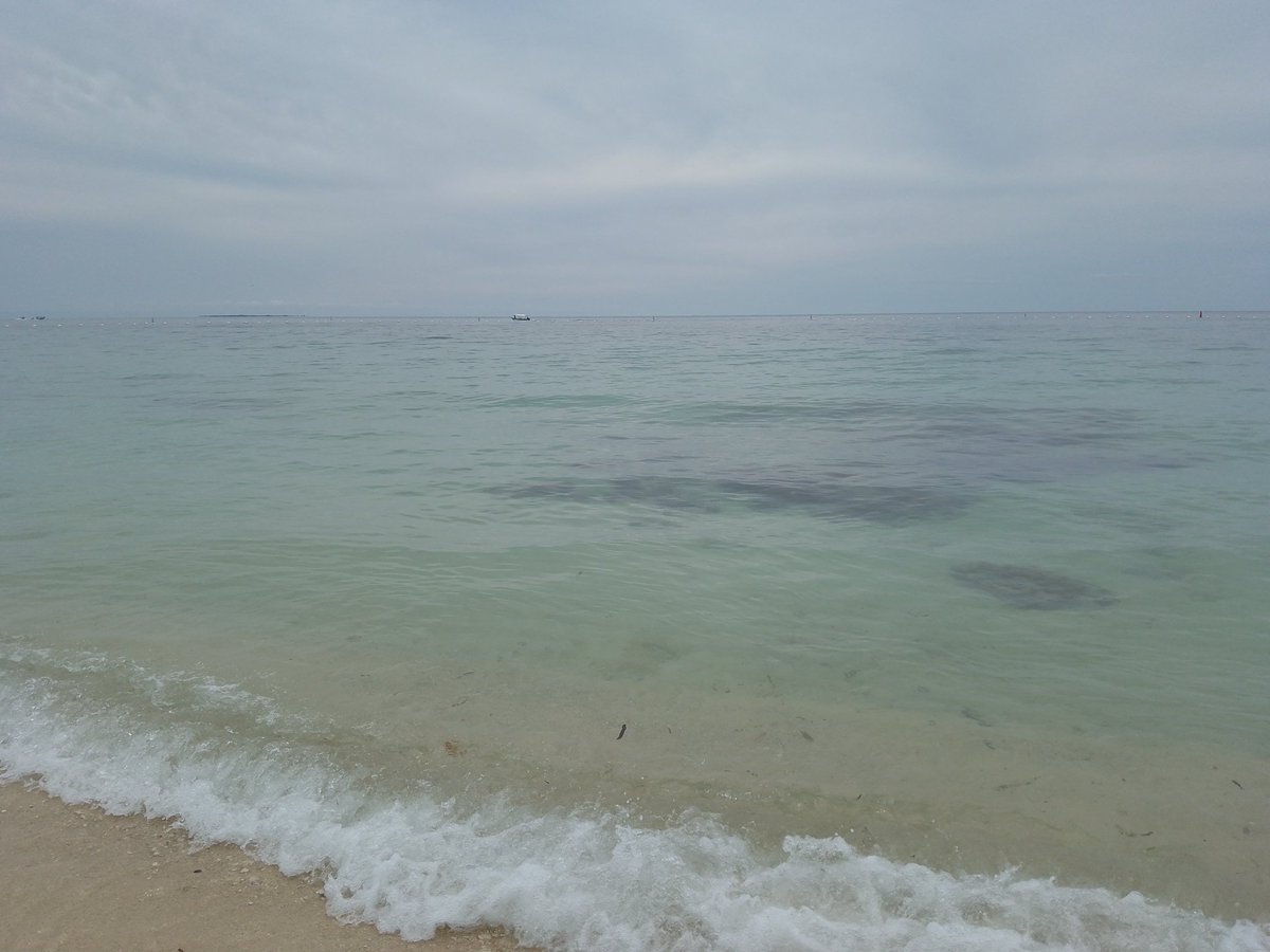 Tarliebear's tweet image. Exploring the national park Los Corales del Rosario and a conservation area for the turtles #tarlietravels @BrandColombia @Colombia @OceanarioIslas @ecopetrolcaribe @MinAmbienteCo #saveturtles #savetheoceans