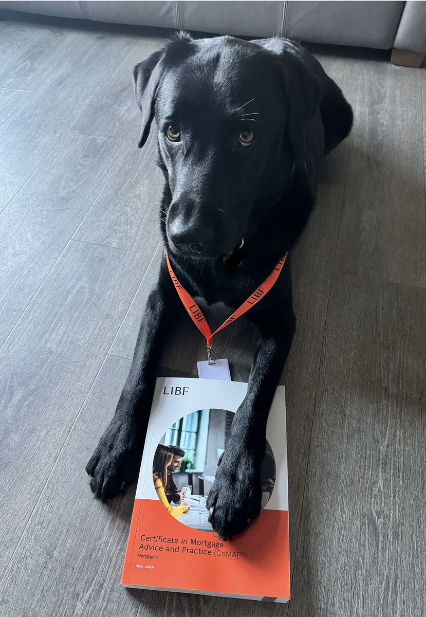 StudyLIBF's tweet image. Meet Sonic, a former guide dog who’s exploring a new career path! 🐾

At LIBF, we’re focused on making our courses as accessible as possible—even for the most non-traditional students. And as you can see by him getting Sonic involved, our CEO Steve Hill takes that mission…