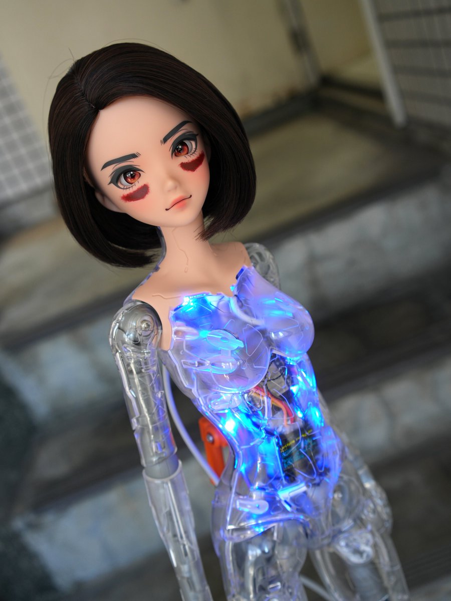 Smartdoll Land tweet media